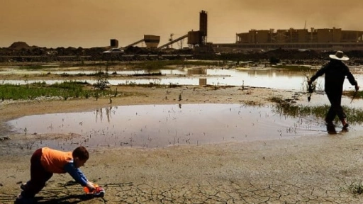 Chile será parte de la alianza para la resiliencia ante la sequía de la COP27