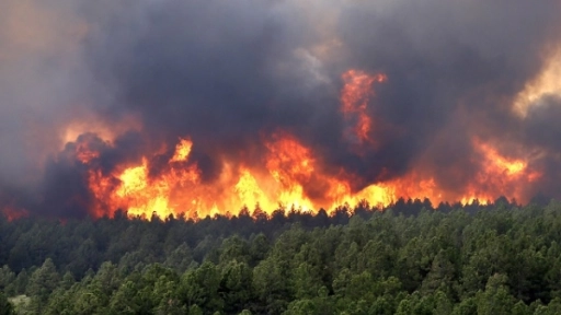 Comenzó la temporada de mayor riesgo de ocurrencia de incendios forestales