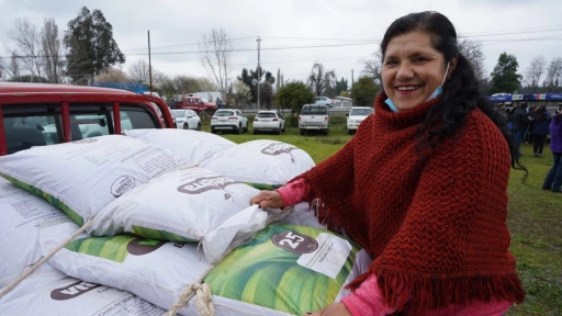 Finalizó la entrega de más de 65 mil sacos de fertilizantes a agricultores de Biobío 