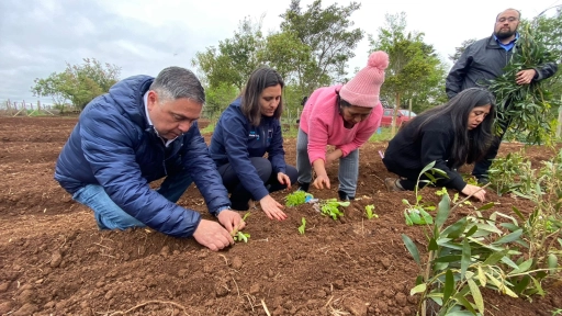 Proyecto INIA en Cañete incrementa actividades agrícolas locales
