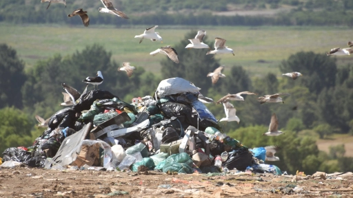 Concejales de Los Ángeles califican de grave posibilidad de recibir residuos domiciliarios desde Hualpén
