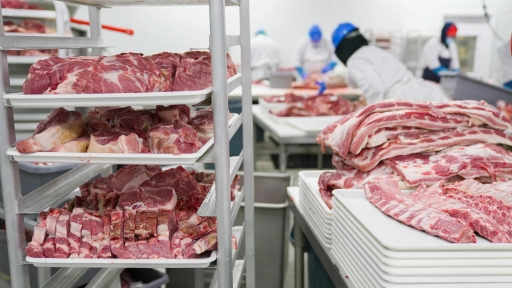 Producción de carne en vara de ganado bovino en el Biobío bajó 30,3% en un año