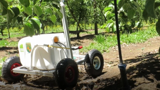 Agro Bot 22:  El robot que controla plagas y detecta enfermedades en las plantas