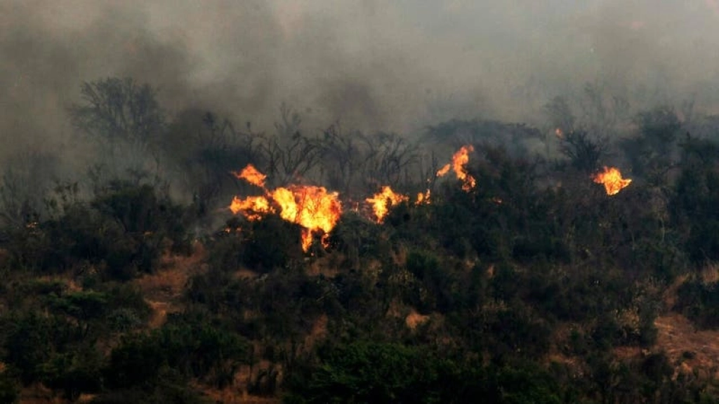 incendios_forestales, Créditos de imagen: T13