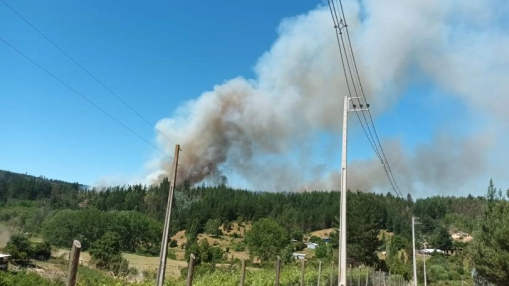 santajuana, Incendio forestal en Santa Juana. Créditos: Soy Chile