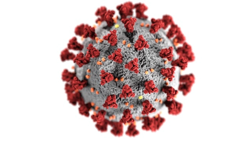 COVID, Foto de CDC: https://www.pexels.com/es-es/foto/coronavirus-3992933/