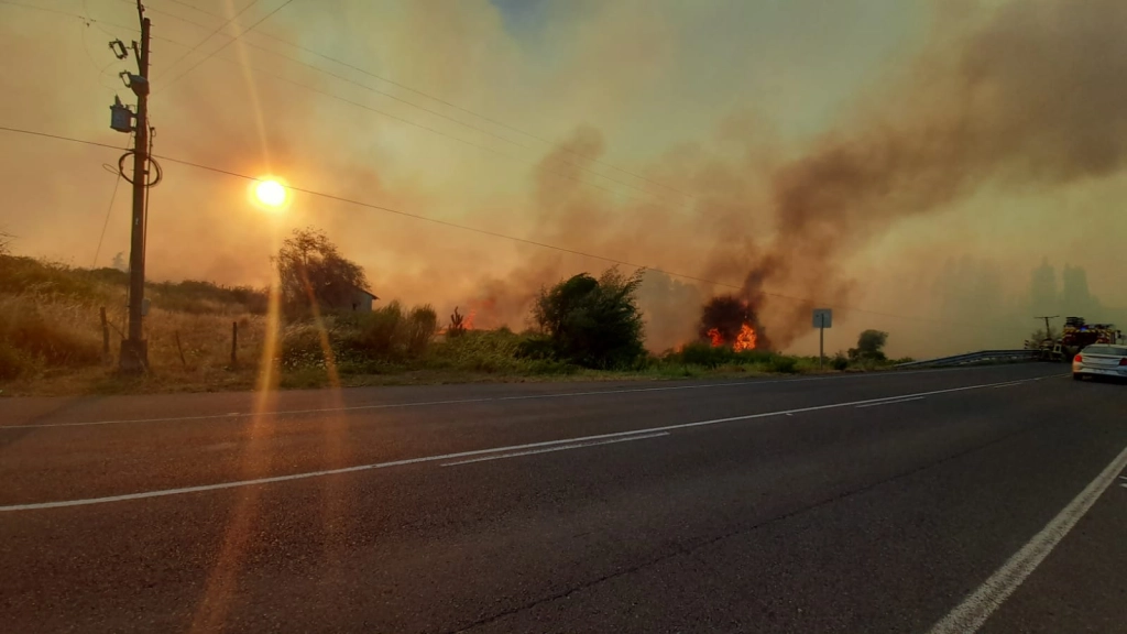 1950CCC8-8F3F-4E14-AB81-091659A374AD, 