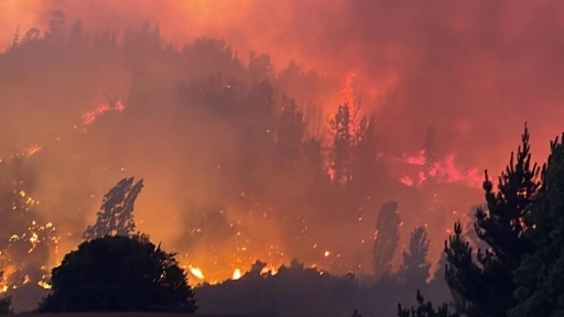 Actualizan estado de incendios forestales en Biobío