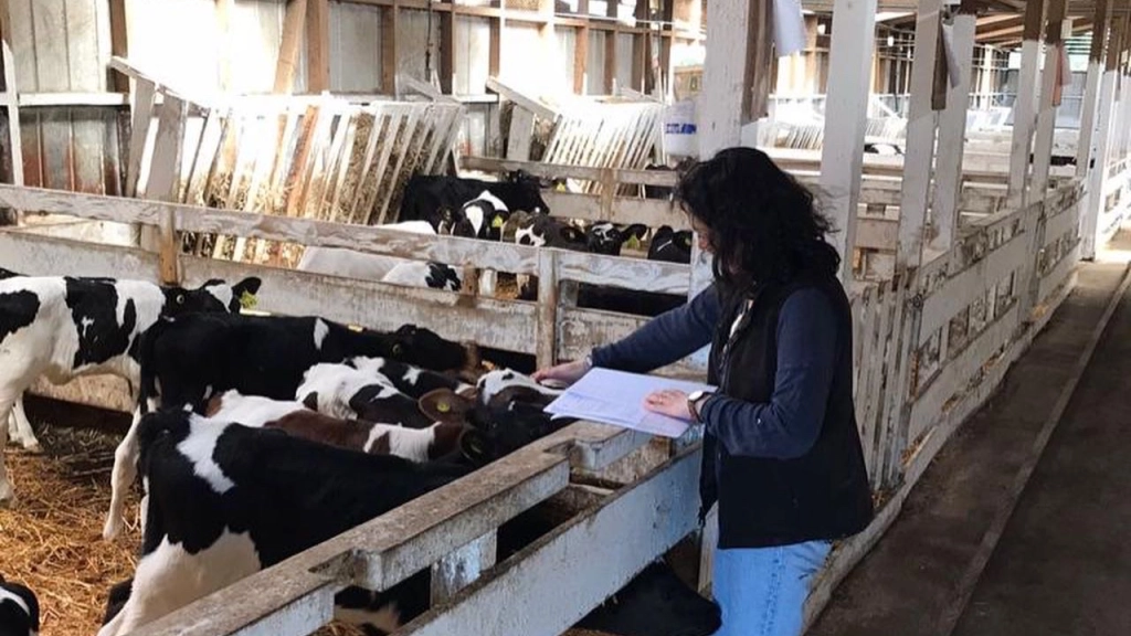 ADBC20E3-E4AD-4F88-84EA-626DEC51AB25, 