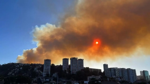 Estado de catástrofe en Viña del Mar: Incendio consumió más de 100 hectáreas y deja 130 casas quemadas