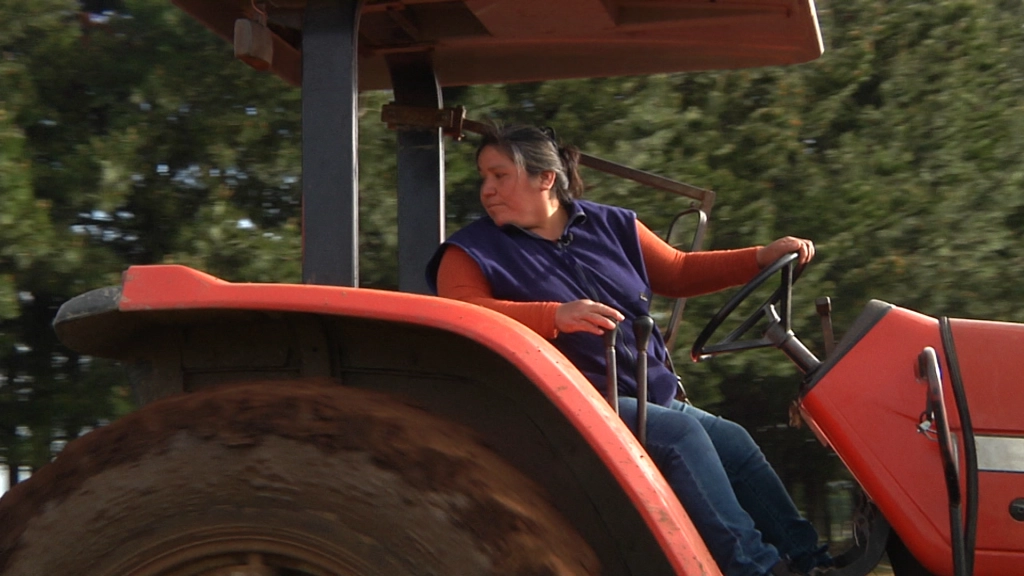 02 FOTOS TRASTORISTA INIA00, 