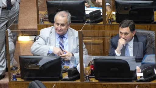 Parlamentario por creación de Ministerio de Seguridad: Tiene una serie de flancos abiertos pendientes que deben ser resueltos