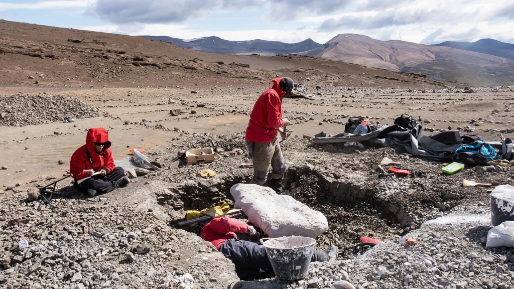 Dinosaurios de 10 metros dominaron Patagonia chilena hace 70 millones de años, Fotografía de archivo sin fechar cedida por la Universidad de Chile, que muestra a un grupo de investigadores excavando, en La Patagonia (Chile). EFE/ Universidad De Chile