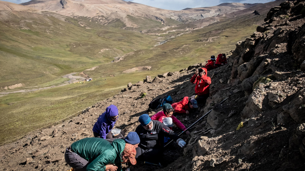  / Fotografía de archivo sin fechar cedida por la Universidad de Chile, que muestra a un grupo de investigadores excavando, en La Patagonia (Chile). EFE/ Universidad De Chile/