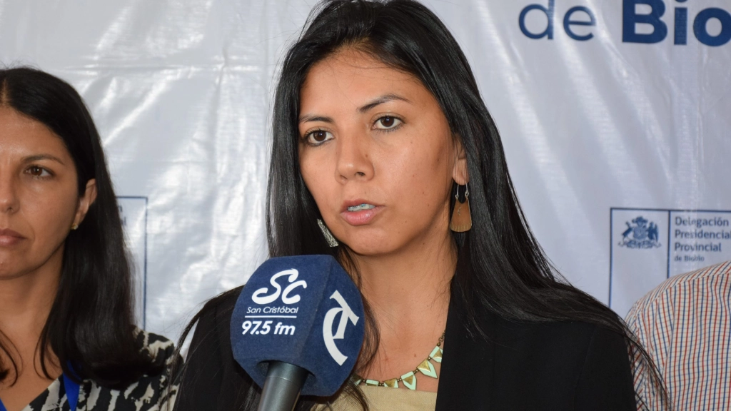 Delegada-presidencial-provincial-Paulina-Purran-1, 