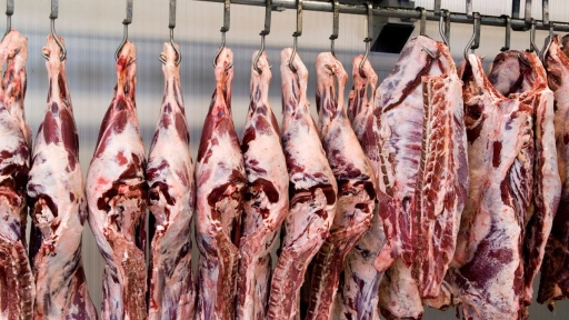 Producción de carne en vara de ganado bovino en Biobío descendió 16,8% en doce meses 