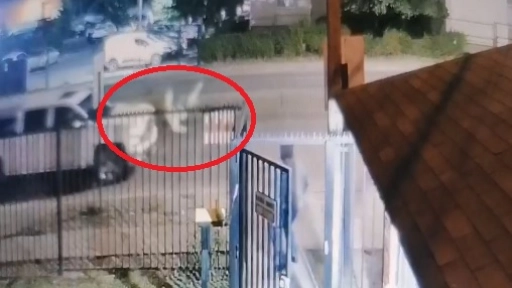 VIDEO: Sujeto que protagonizó intento de robo fue atropellado en Los Ángeles