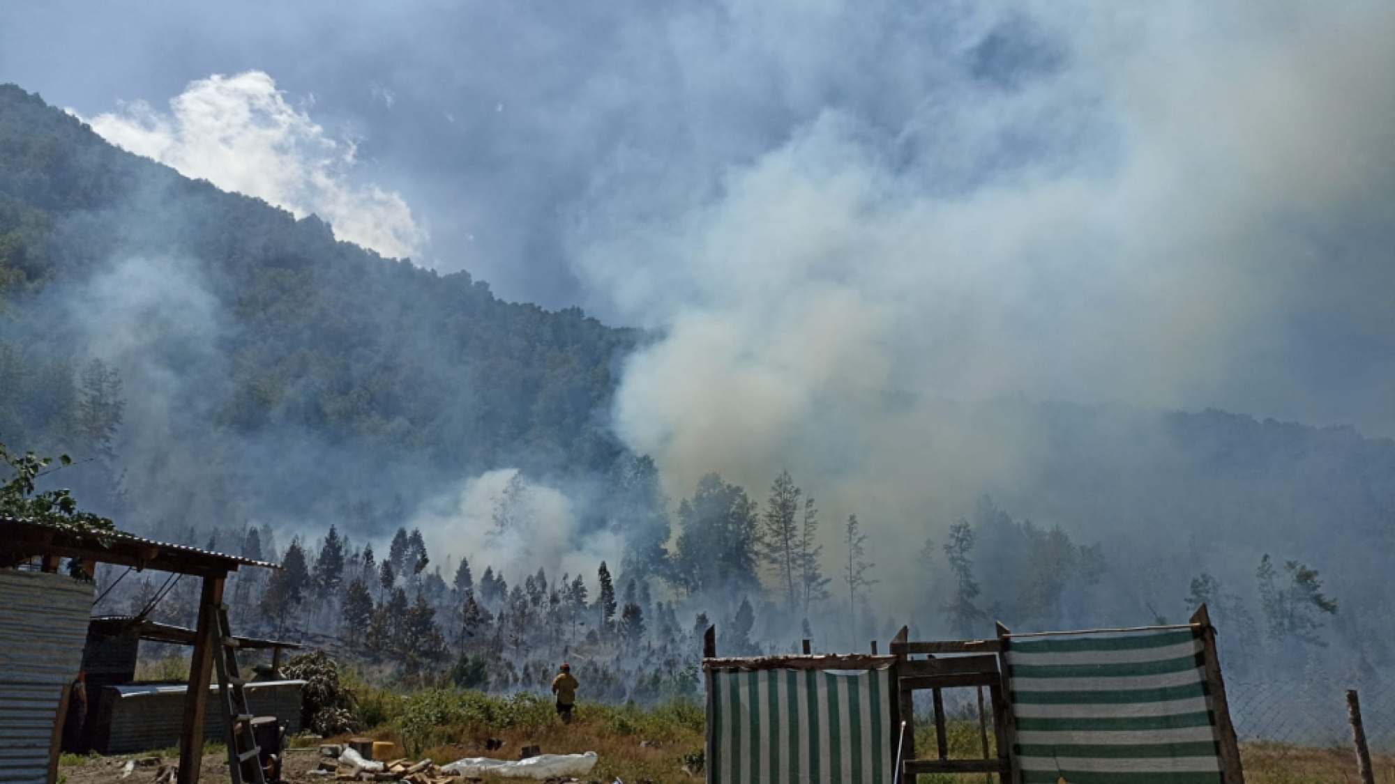 Incendio Forestal Afecta A Fundo Rañilhueno En Alto Biobío La Tribuna 0847