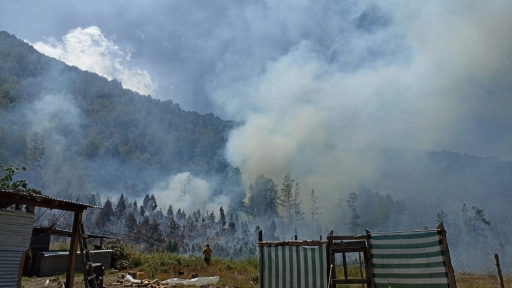 Incendio forestal afecta a Fundo Rañilhueno en Alto Biobío