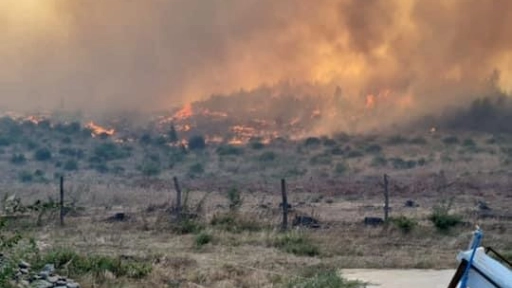 Los Ángeles: Cancelan alerta roja por incendio forestal en Santa Elcira