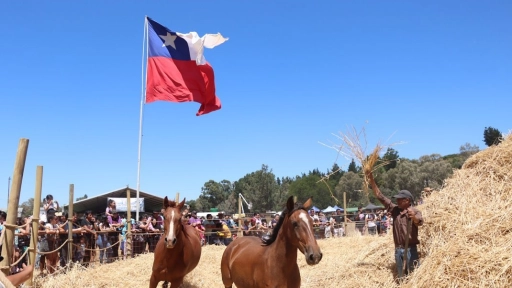 Miles de asistentes disfrutaron de la octava Fiesta Tradicional del Trigo en Mulchén