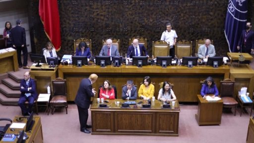 Despachan moción legislativa que busca extender a 30 días renovación de Estado de Excepción en Macrozona Sur
