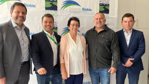 Reactiva Biobío inyecta más de .500 millones en emprendimientos de la provincia
