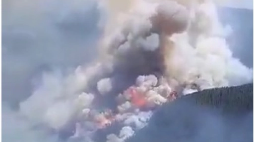 Se reactivan focos de incendio en sector Santa Juana:  Llaman a evacuar sectores poblados