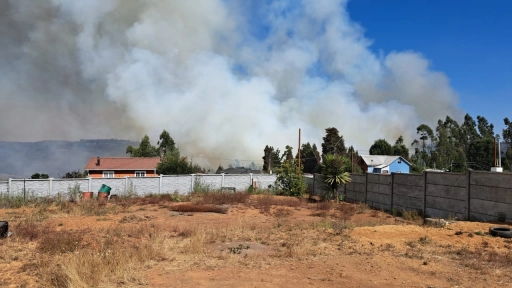 Dos incendios forestales con rápido avance se reactivaron en Tomé y Coronel