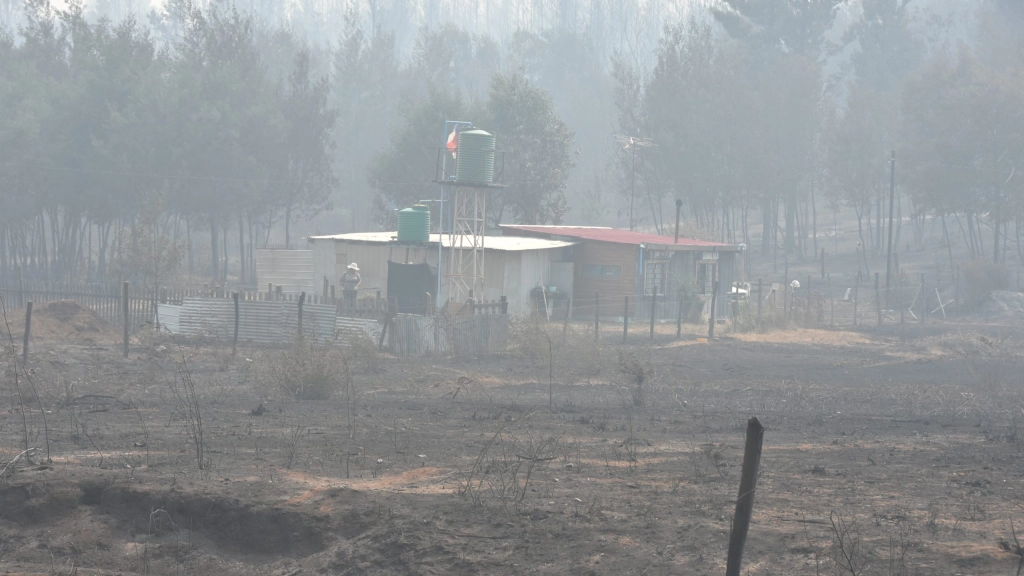 Mulchén Alhuelemu incendio forestal (58), 