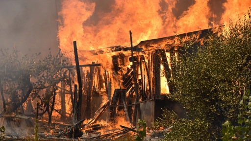 Activan alerta vía aviso telefónico por incendio forestal en sector Las Pitras