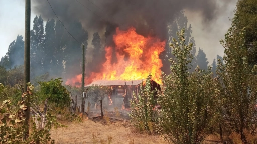 Reportan estado y avance de incendios forestales en Biobío