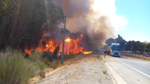 Informan que incendio forestal en Las Pitras no dejó afectados