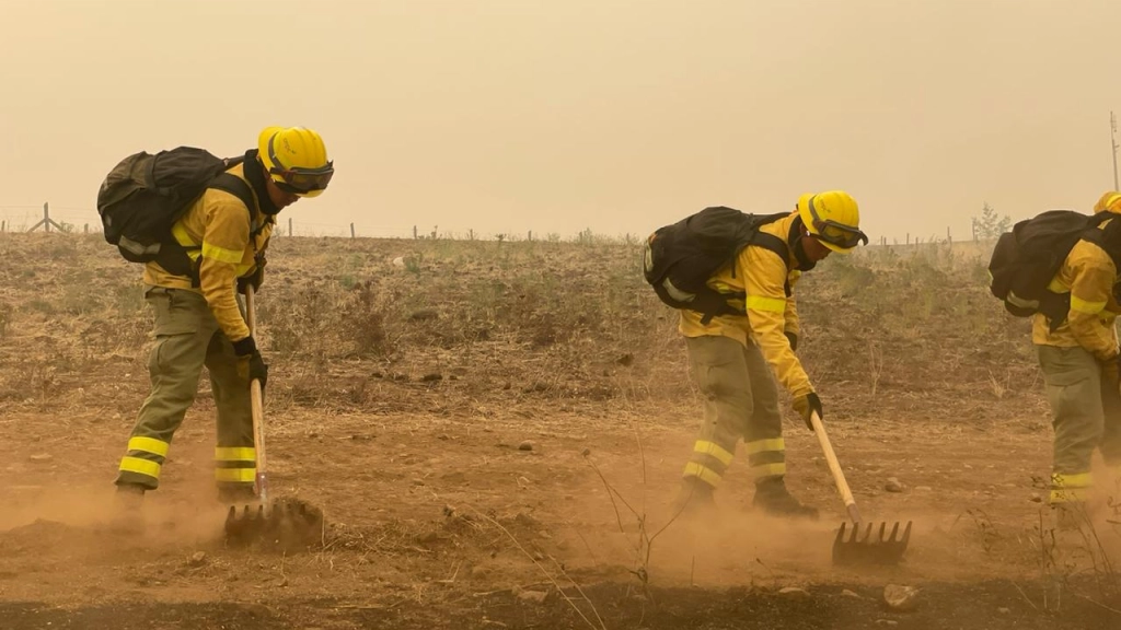 Fuerza de combate de CMPC continúa trabajando en incendios rurales que afectan al sur del país, 