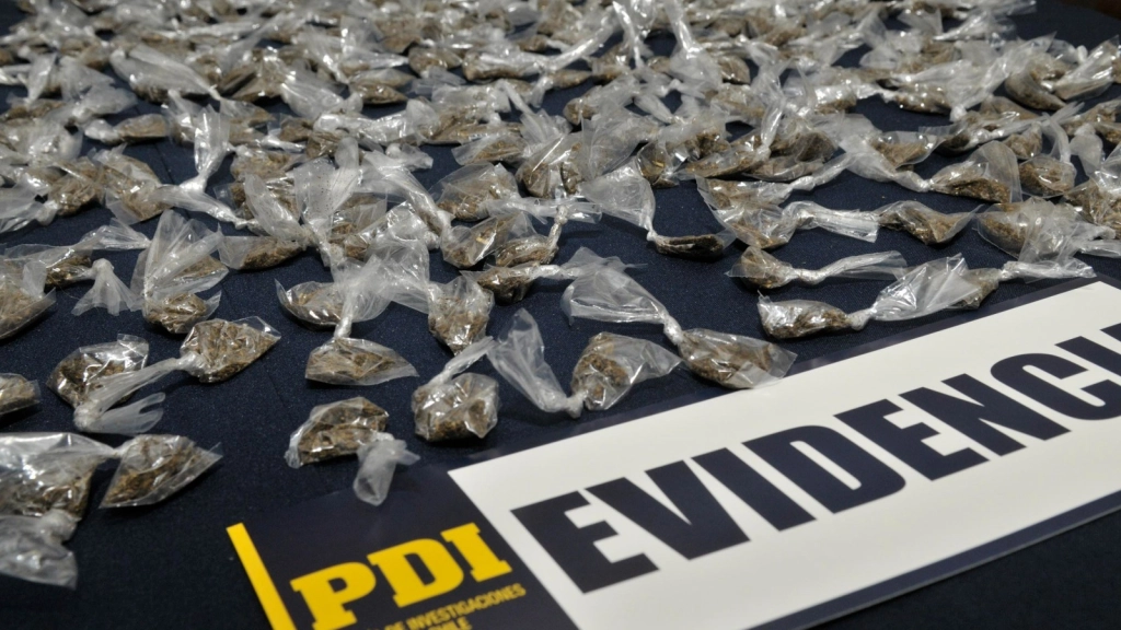 droga PDI detenido marihuana, 