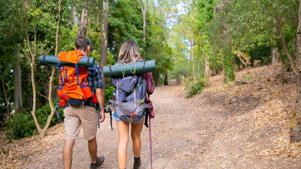 Back view of couple going along road in forest, Back view of couple going along road in forest. Long-haired woman and man carrying backpacks and hiking on nature together. Green trees on background. Tourism, adventure and summer vacation concept