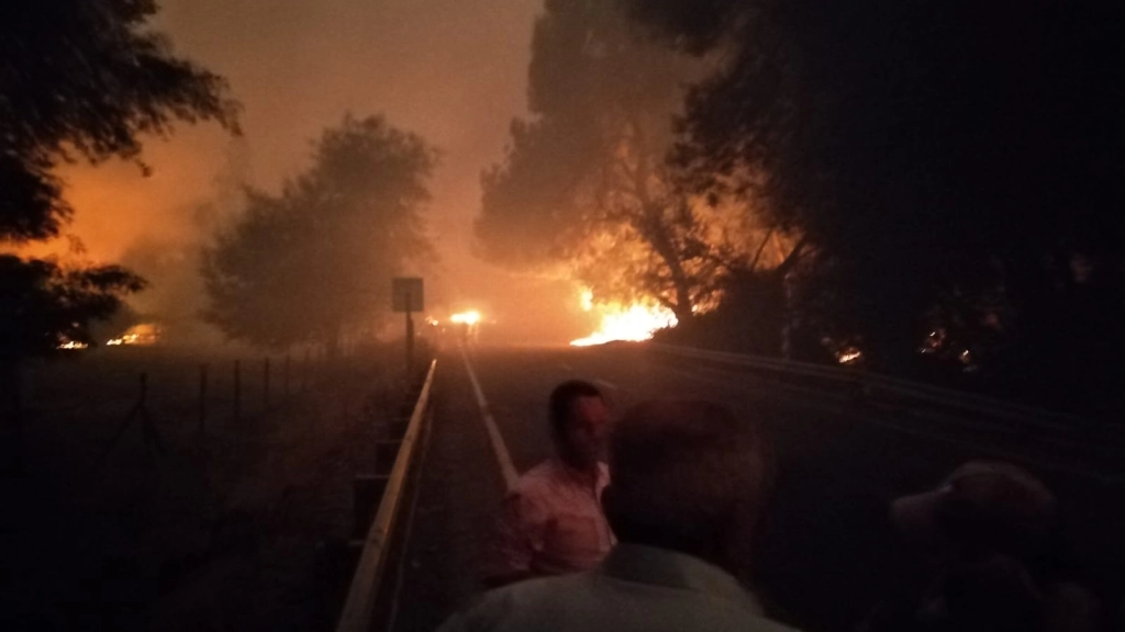 incendio forestal en Quinel, Cabrero, 