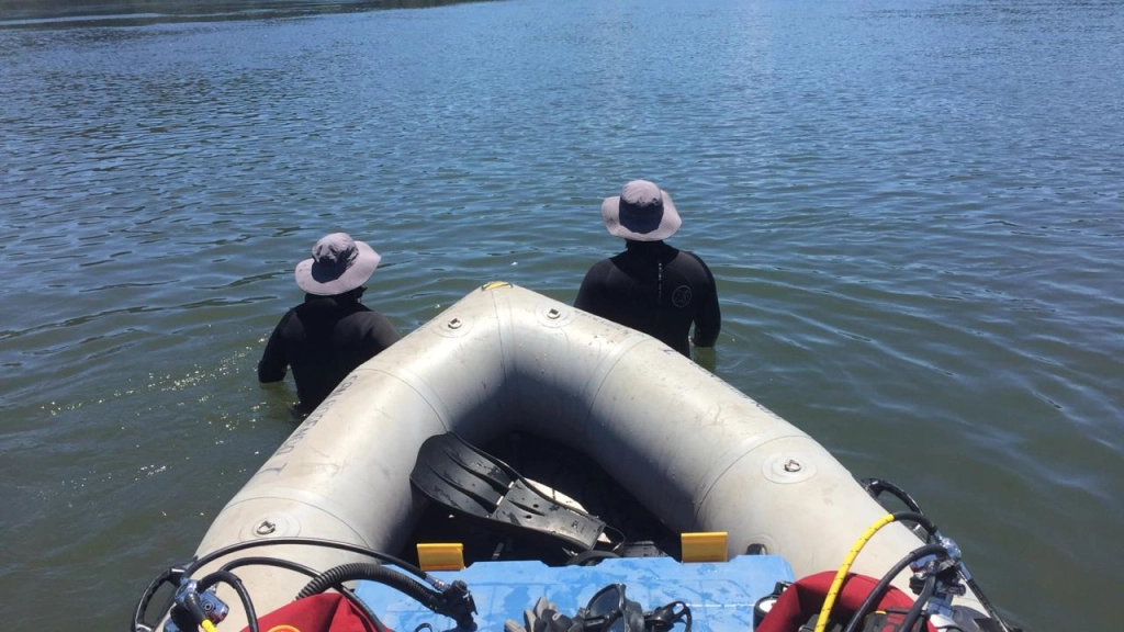 GERSA-SAN-ROSENDO-2, 