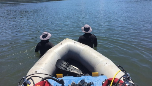 Grupo GERSA lidera búsqueda de adulto mayor desaparecido en embalsadero de San Rosendo