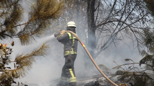 Bomberos y su trabajo ante incendios: Solicitan flexibilizar los permisos de voluntarios