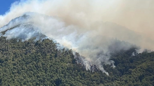 Combate de incendio en Alto Biobío sigue generando complicaciones
