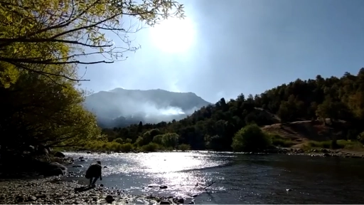 VIDEOS: Así se ve incendio forestal desde la Comunidad Cauñicu en Alto Biobío