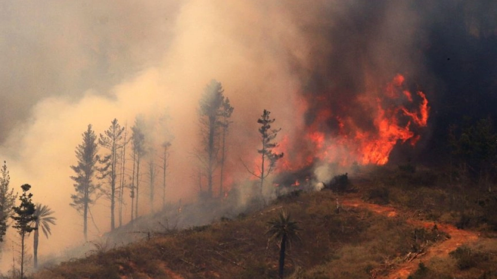 finde 1 2502, En el resumen de la Situación de Incendios Forestales, se indica que en la región hay 3 incendios bajo observación, 11 incendios en combate, 86 controlados y 3 extintos.