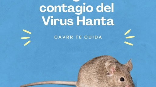 Complejo Asistencial angelino llama a prevenir el Hanta Virus