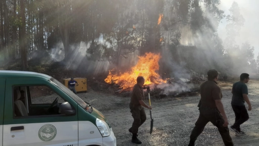 Carabineros se despliega en terreno por incendios forestales en Biobío