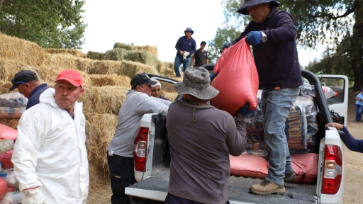 Productores locales entregan ayuda a campesinos afectados por los incendios