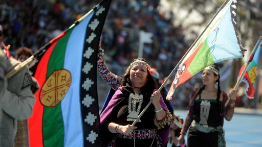 Consejo Político Mapuche esperan alcanzar reconocimiento constitucional de pueblos originarios