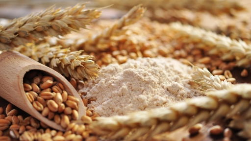 Molienda de trigo de la Región del Biobío disminuyó 14,7% en enero de 2023