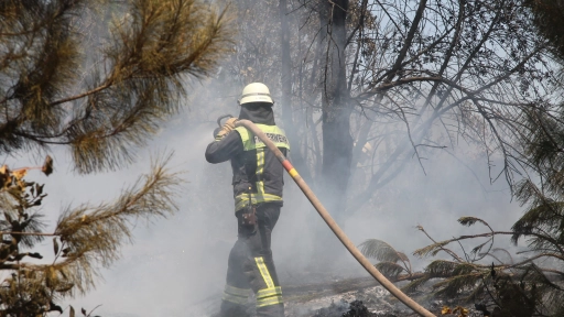 Comisión investigadora por incendios: Autoridades de Biobío esperan reales avances