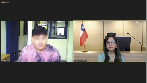 Condenan a más de 11 años de cárcel a hombre que asaltó a conductor de camión en Quilleco